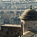 DSC_8310.jpg